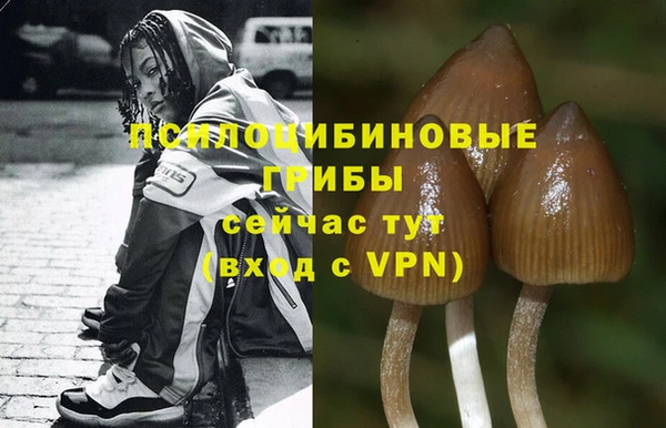 марки lsd Абаза