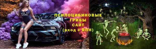 марки lsd Абаза